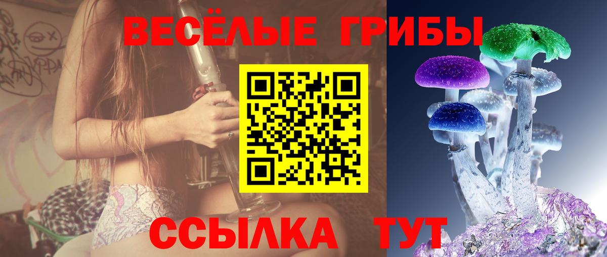 Галлюциногенные грибы мицелий Корсаков