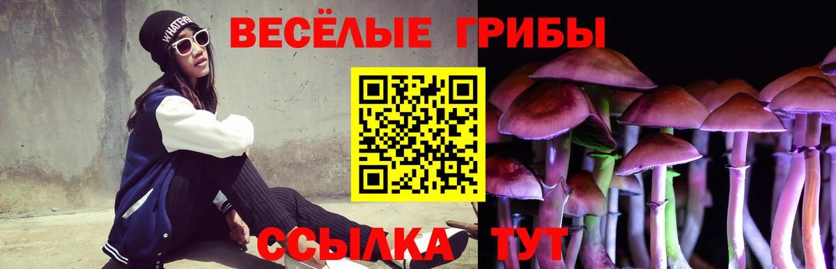Корсаков  Галлюциногенные грибы Cubensis  Псилоцибиновые грибы мицелий  Вход с VPN 